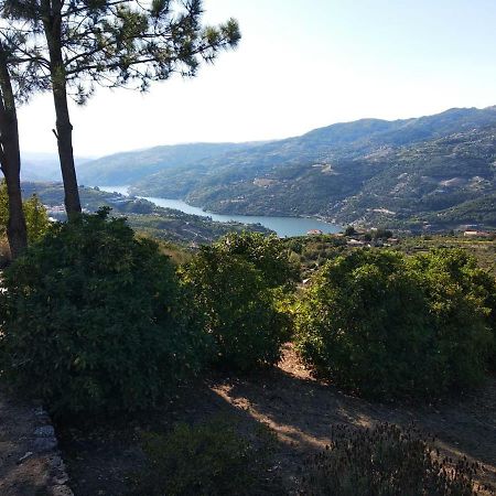 Paraiso Hills - Encostas Do Paraiso: Tranquilidade No Douro Resende Exteriör bild