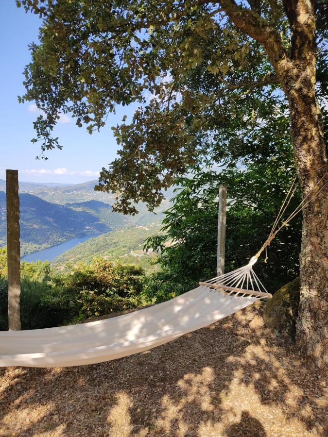 Paraiso Hills - Encostas Do Paraiso: Tranquilidade No Douro Resende Exteriör bild