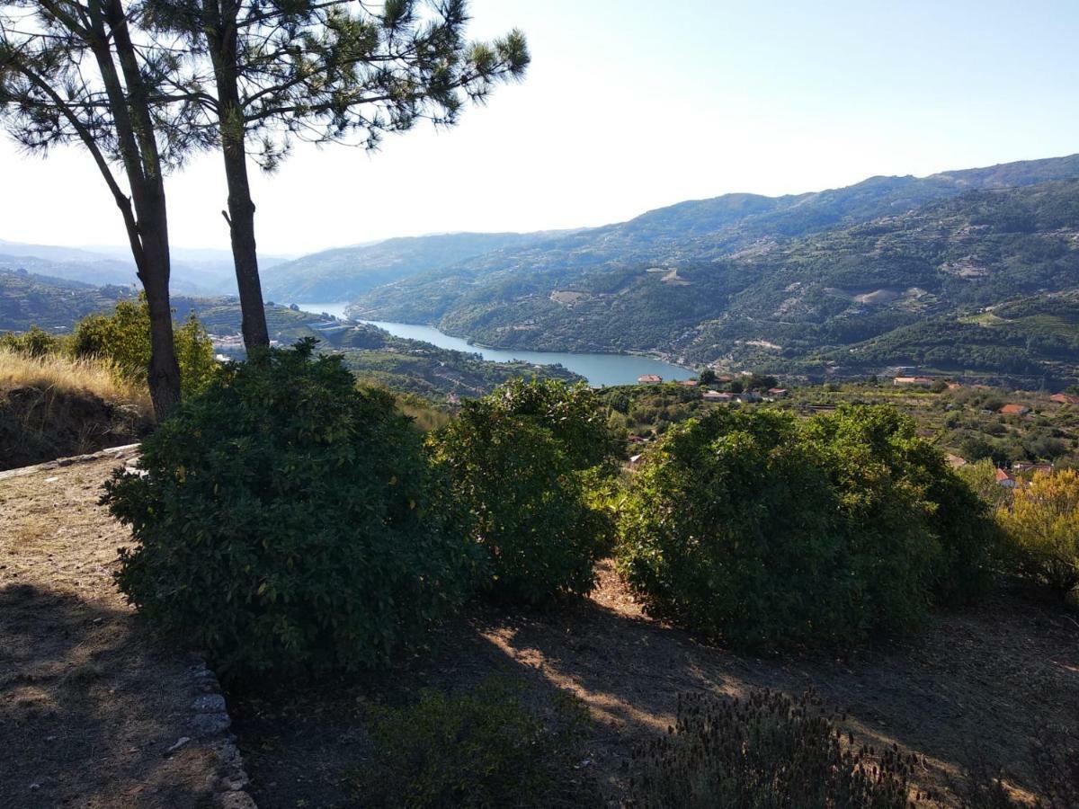 Paraiso Hills - Encostas Do Paraiso: Tranquilidade No Douro Resende Exteriör bild